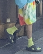 00005.jpg